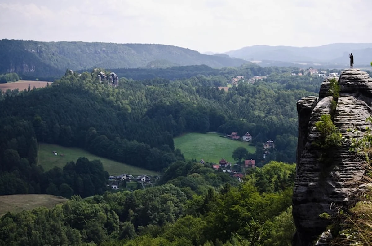 Wysoki kąt widoku drzew i gór na tle nieba