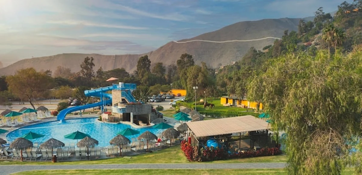 Basen i palmy na kempingu Strasko