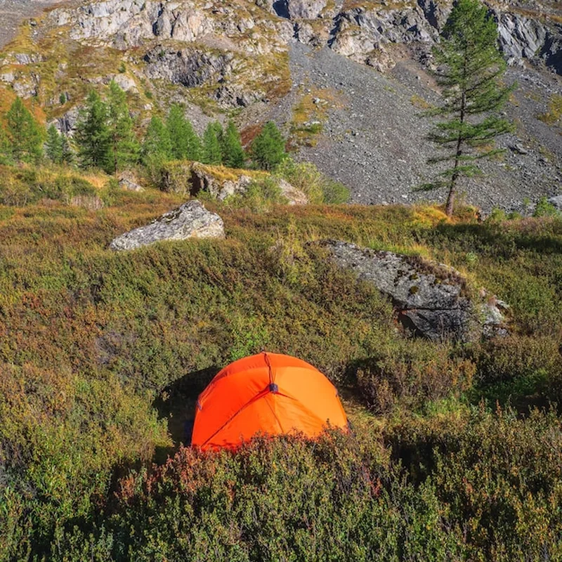 Samotny namiot w górskim lesie