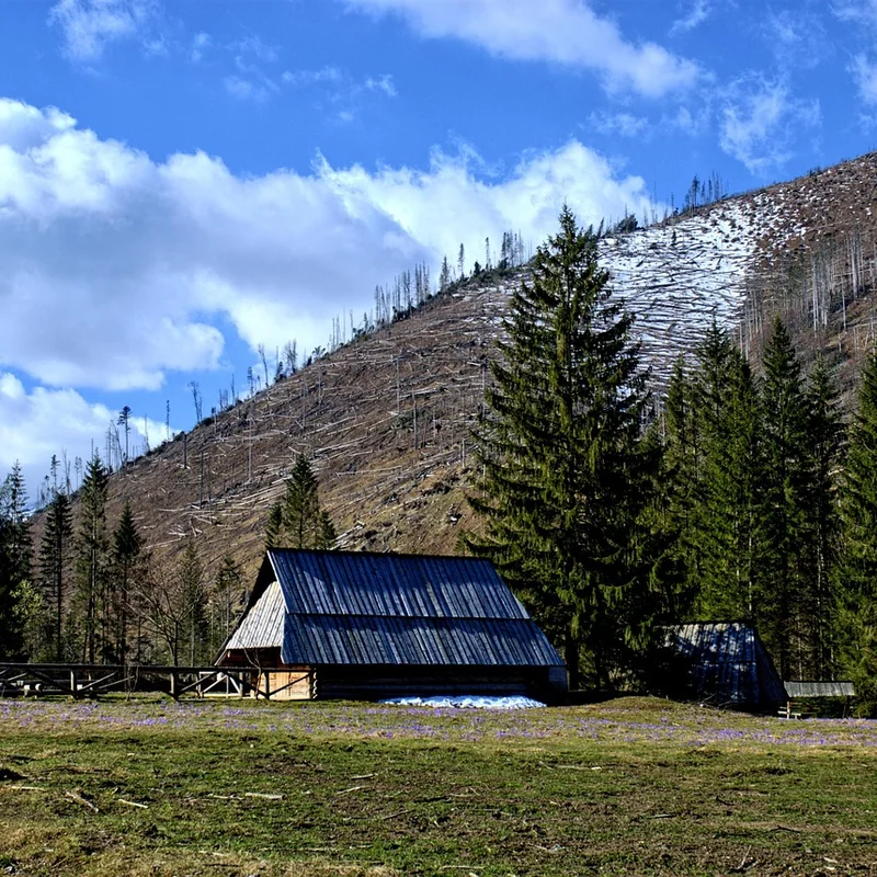 Zakopane kamperem na dziko - najlepsze miejsca na nocleg